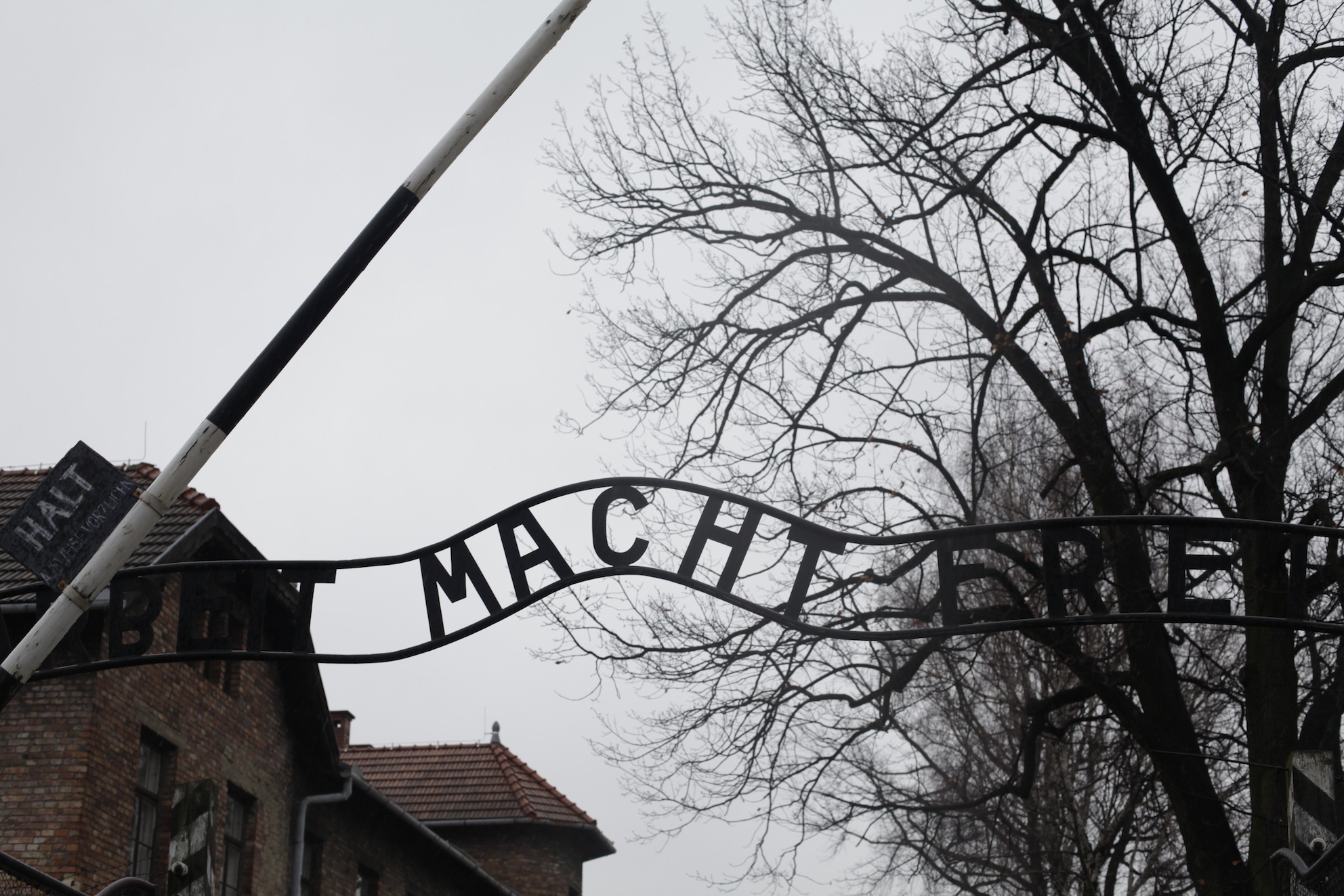 Entrée camps Auschwitz