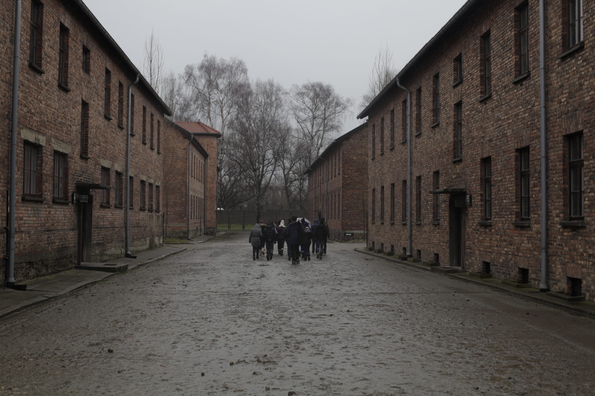 Auschwitz - Les élèves